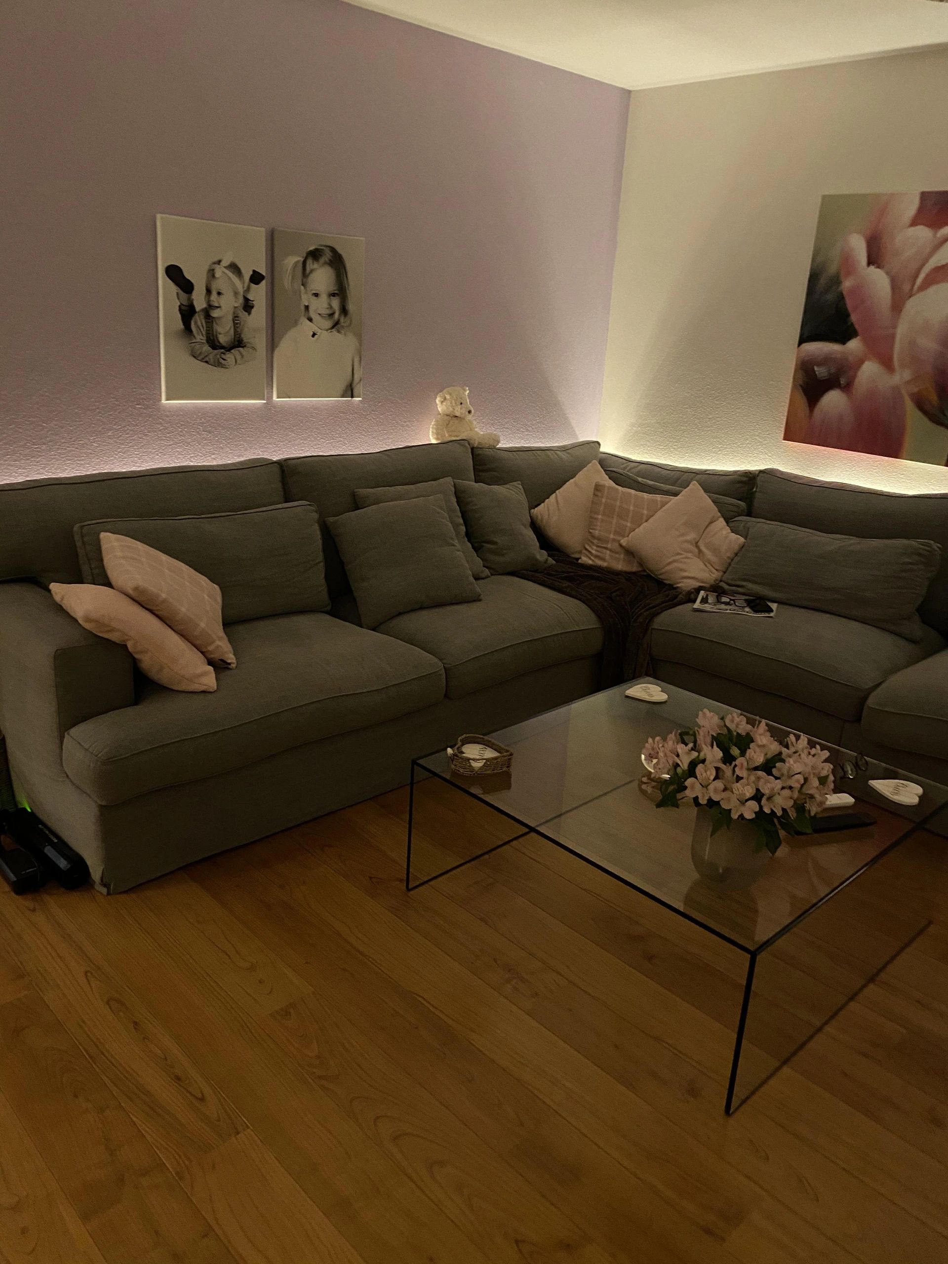 Led profiel 2 meter opbouw breed laag 10 mm